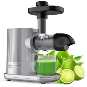 Cold Pressed Slow Masticating Juicer Horizontal Juicer Silver