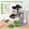 Cold Pressed Slow Masticating Juicer Horizontal Juicer Silver