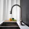 Kitchen Faucet with Pull Out Spraye